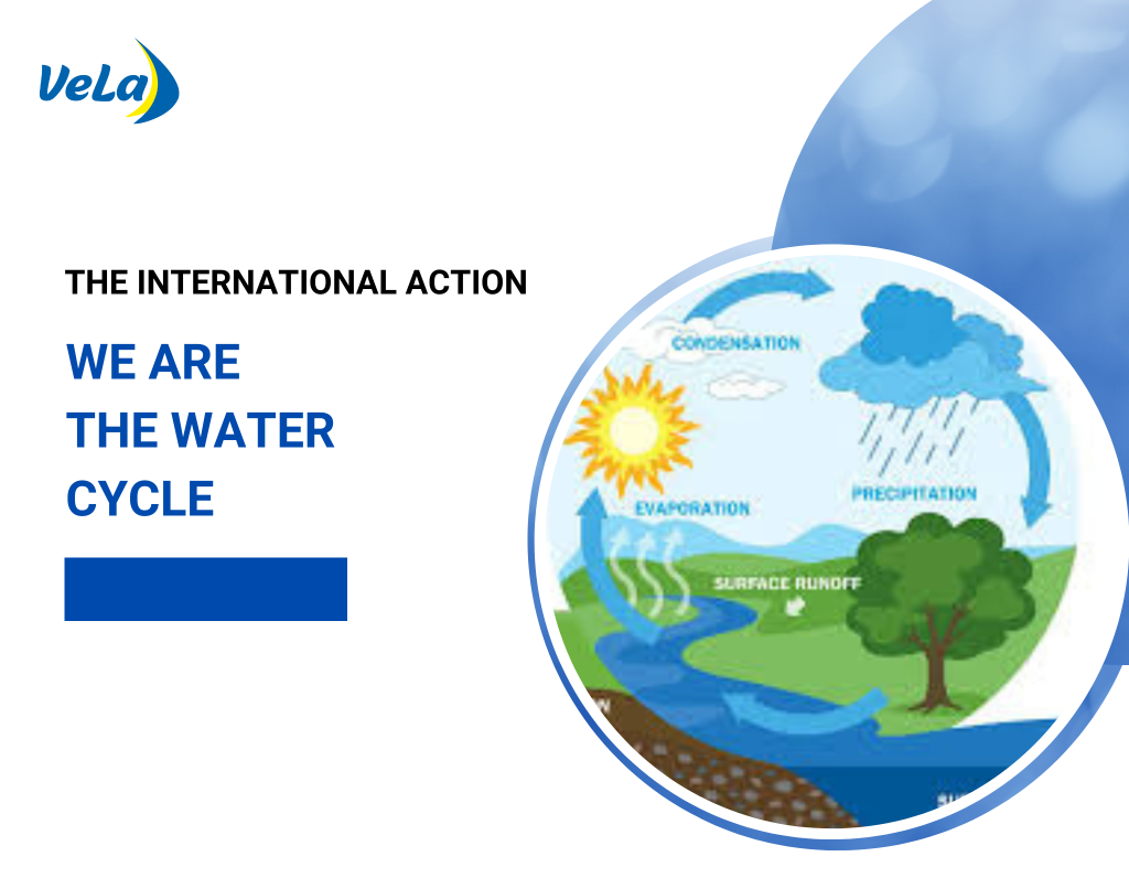 The international unity action “We are the water cycle”