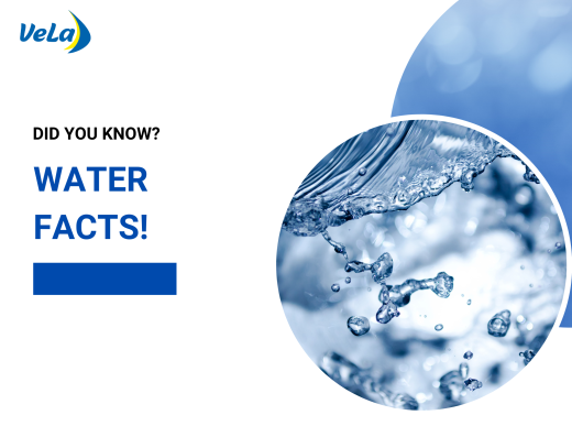 Did you know? Water Facts!