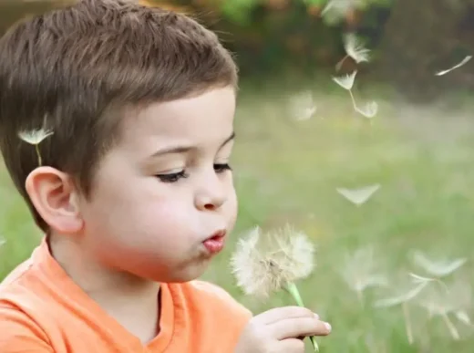 Сила дихання: як свідомий вдих і видих змінюють наш мозок і тіло